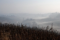 S. Damiano d'Asti - Nebbia_012